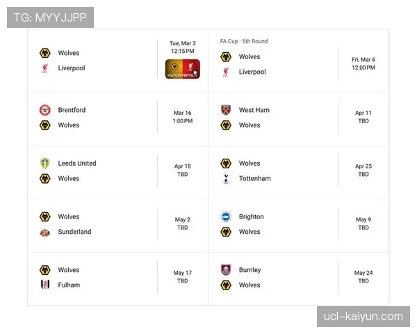 阿斯顿维拉2-0战胜狼队，巩固英超第五排名